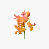 Demo product title Flower