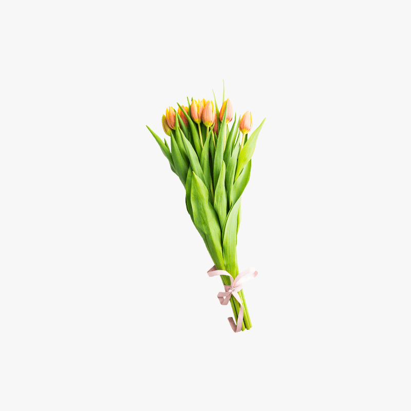 Dummy text for title Flower