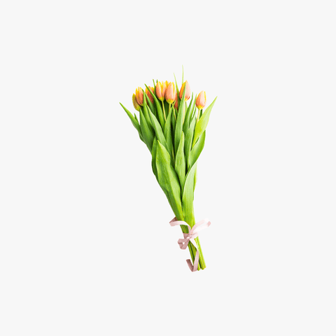 Dummy text for title Flower