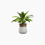 Demo product title