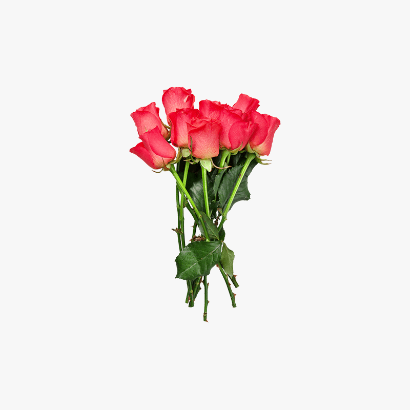 Dummy product name Flower