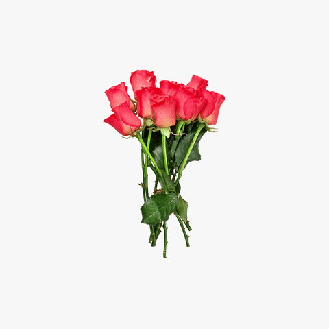 Dummy product name Flower