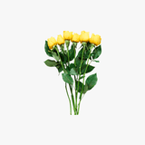 Dummy text for title Flower