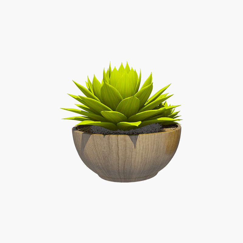Demo product title