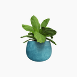Demo product title