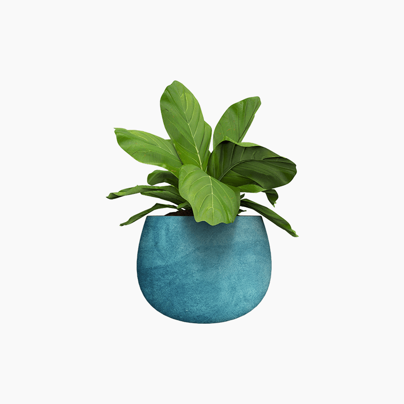Demo product title